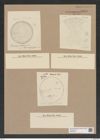 Stictodiscus sp. (de-Toni-Nr.: Genus 205) Zeichnungen Sammlung Grunow Nr. 9064 (NHMW-BOT-W0378810)